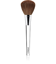 Powder Brush